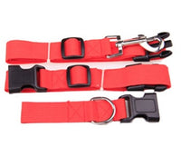Explosive Pet Car Rear Seat Ring Safety Rope