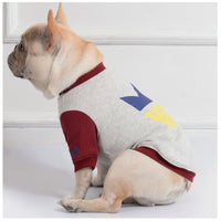 Casual Teddy Dog Sweatshirt