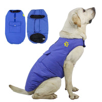 Dog clothes can be worn on both sides