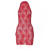 Womens Sexy Backless Lace See-Through Halter Dress