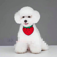 Cartoon pet bib