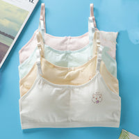 Student Big Girl Developmental Little Vest Bra