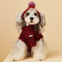 Pet Dog Supplies Accessories Wool Hat Scarf