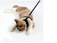 Anti-skidding cat harness