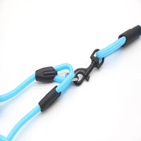 Double traction rope dog walking training