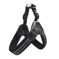 Reflective leash for dog