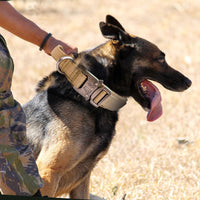 Nylon Wear-resistant Tactical Pet Collar Outdoor Adjustable Medium And Large Traction Dog Collar