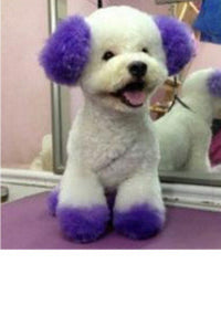 Personalized Dressing Up Dye For Dog Hair