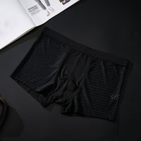 Silky mesh boxer briefs