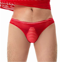 Men's Plus Size See-through Sexy Briefs