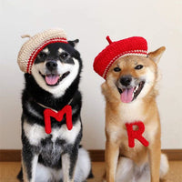 DIY Mini Mixed Color Hand-knitted Beret Cute Pet