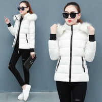 Thicken Big Fur Collar Plus Size Fat Sister Cotton-padded Coat