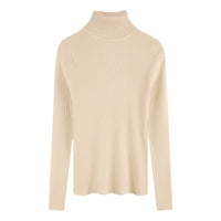 Thickening Inner Wear Skinny Versatile Long Sleeve Thermal Turtleneck Sweater For Women