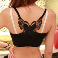 Back bow modal wrap chest sexy tube top bottoming vest