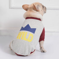 Casual Teddy Dog Sweatshirt