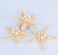 Forest department seaside resort manual folder