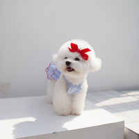 Fashion Summer Thin Pet Princess Dress