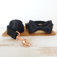 Ribbon Traction Set