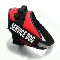 Chest strap