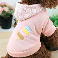 Teddy clothes plus velvet thick hooded sports sweater