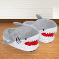 Home Couple Bag With Plush Cotton Shoes