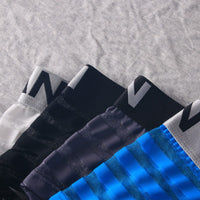 Men's Transparent Underwear Striped Boxers