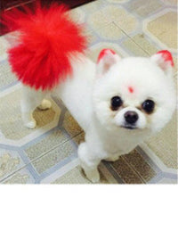 Personalized Dressing Up Dye For Dog Hair