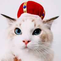 Funny Pet Dog Cat  Costume Warm Hat Photo Props Headwear