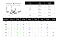 Men's Boxer Swimming Trunks Nylon Solid Color Breathable Slim Lace Underwear