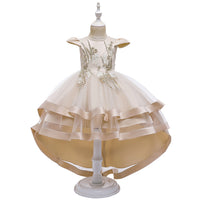 Large tail model catwalk dress