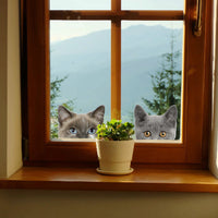 Funny 3D Cat Dog Half Face Peeking Car Stickers - 5 Stickers