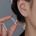 Special Interest Earrings Autumn And Winter High-grade Earrings