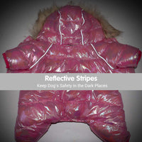 Dog clothes colorful hat four legged sweater button