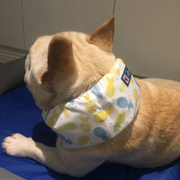 Summer Pet Dog Cool Down Ice Scarf To Relieve The Heat
