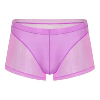 Thin Men's Mesh Translucent High Elastic Low Waist Panties