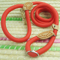 Automatically tighten telescopic reflective dog leash