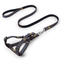 Wear-resistant traction rope