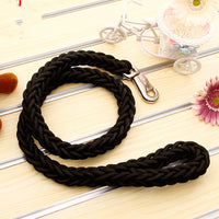 Pet leash with large dog rope