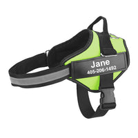 Multicolor Fashionable Personalized Pet Traction Rope