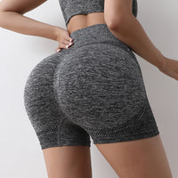 Yoga Shorts High Waist Stretch Anti-wardrobe Malfunction Fitness Pants