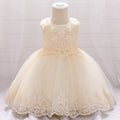 Baby girl one year old net yarn princess dress