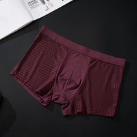 Silky mesh boxer briefs