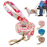 Dog Traction Rope Nylon Dog Walking Rope Chain