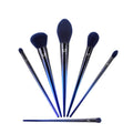 Eye and Face Loose Powder High Gloss Blush Smudge Makeup Brush Set