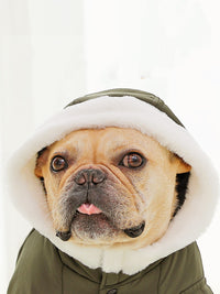Law Fighting Clothes Dog Cotton Winter Pet Clothes Plus Velvet Thickening