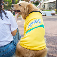 Medium And Large Dog Sweater Spring Fleece Sweater Pet Clothes