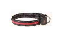 Dog Luminous Collar USB Charging Pet Collar