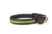Dog Luminous Collar USB Charging Pet Collar