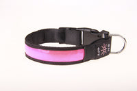 Rechargeable Luminous Pet Collar Golden Retriever Teddy Collar