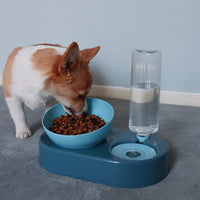 Eat And Drink Water Dog Food Bowl Automatic Drinking Prevent Overturning Protect The Cervical Spine  Prevent Choking  Pet Rice Bowl